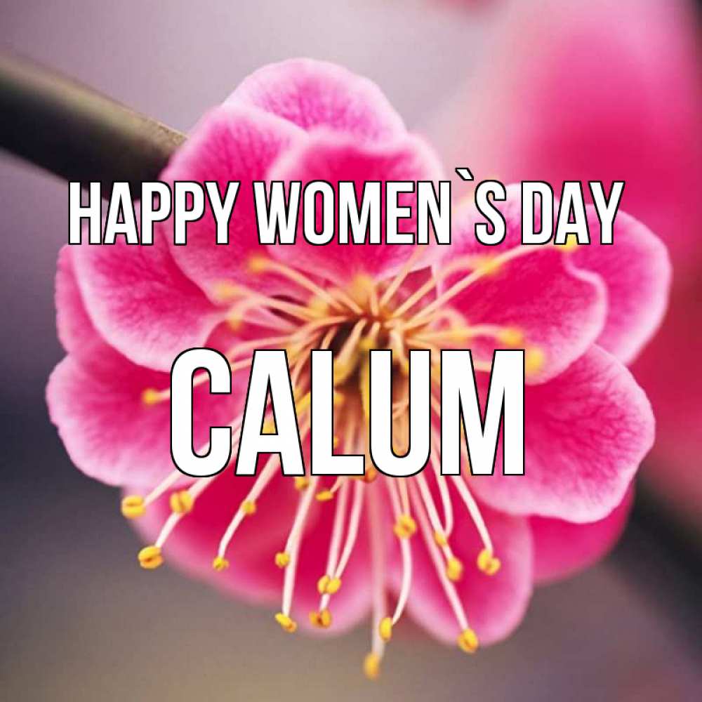 Greetings card с именем, Calum happy women`s day цветы Greetings with text for free download 